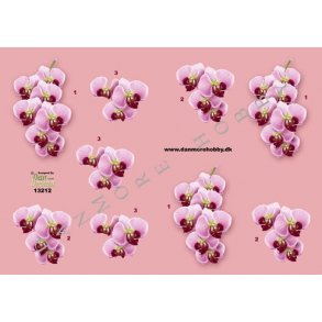 3D ark - Blomster, orchidé