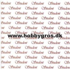 Studenterkort 14x28 cm, r�d