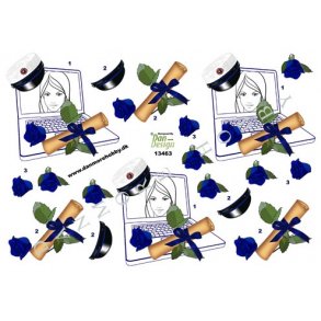 3D ark - Student, bl hue, pige