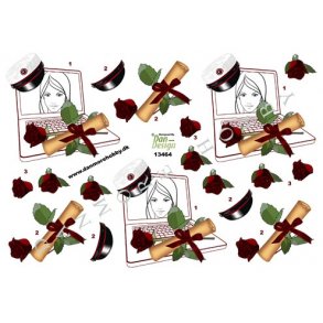 3D ark - Student, rd hue, pige