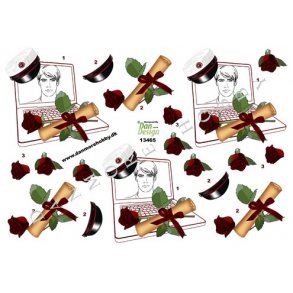 3D ark - Student, rd hue, dreng