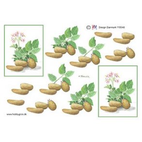 3D ark - Natur, kartofler