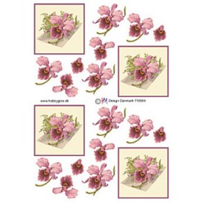 3D ark - Blomster, orkide