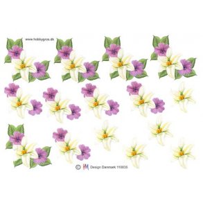 3D ark - Blomster, blomsterranke. lilla