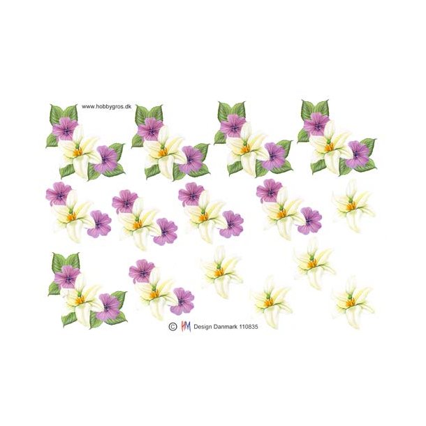 3D ark - Blomster, blomsterranke. lilla