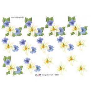 3D ark - Blomster, blomsterranke bl