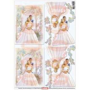 3D ark - Bryllup, brudepar i pavillon