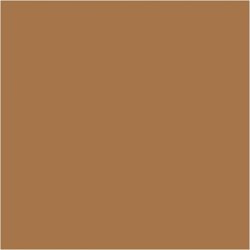 Akrylmaling, 60ml, r sienna/raw sienna, Plus Color