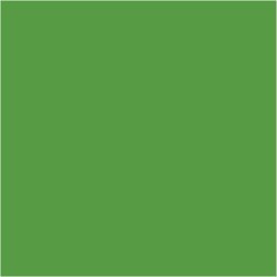 Akrylmaling, 60ml, grs grn/bright green, Plus Color