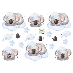 3D ark - Baby & barnedb, Koalabjrn p lysebl sky