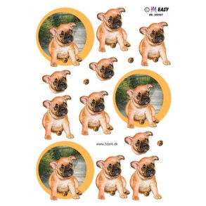 3D ark - Dyr. Hund, lille s�d bokser