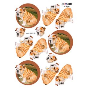 3D ark - Dyr. Hund, Engelsk bulldog