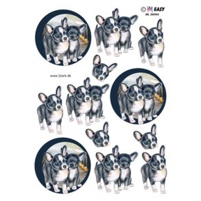 3D ark - Dyr. Hund, sm� s�de Chihuahua