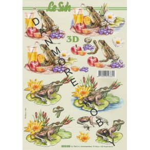 3D ark - Padde, fr, 2 forskellige motiver