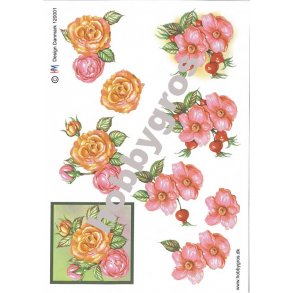 3D ark - Blomster, hyben