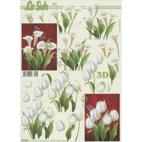 3D ark - Blomster, tulipaner, callas