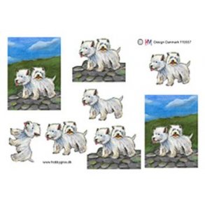 3D ark - Hunde, 2 s�de terrier