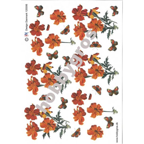 3D ark - Blomster, orange, sommerfugle