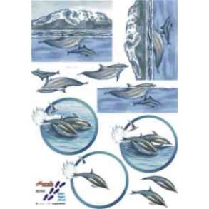 3D ark - Havdyr, marsvin, hvaler