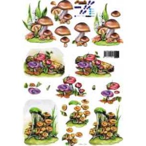 3D ark - Natur, svampe
