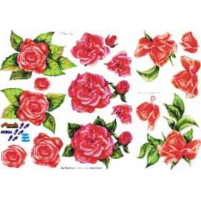 3D ark - Blomster, rose