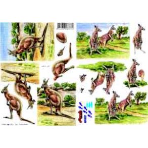 3D ark - Dyr, knguru