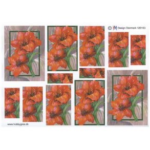 3D Pyramideark, blomster, hibiscus