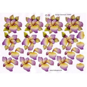 3D ark - Blomster, lilla