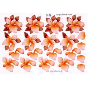3D ark - Blomster, orange/ferskenfarvede