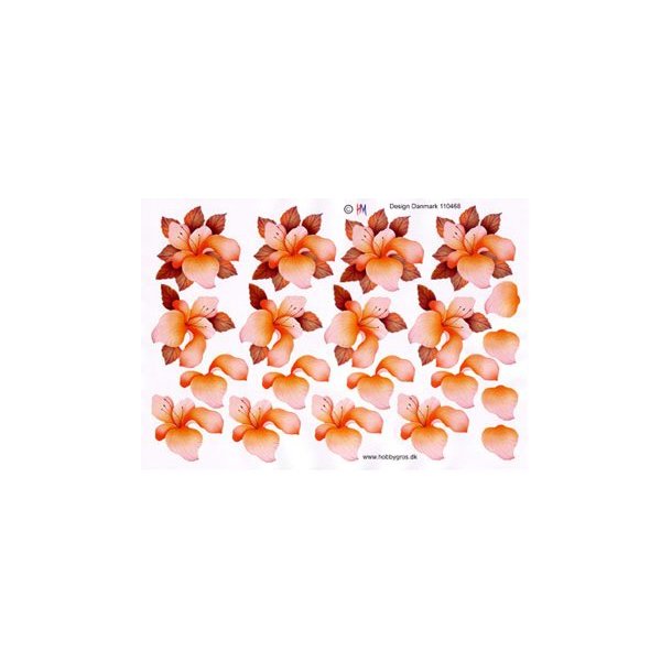 3D ark - Blomster, orange/ferskenfarvede