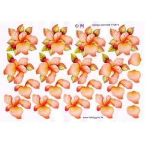 3D ark - Blomster, ferskenfarvet