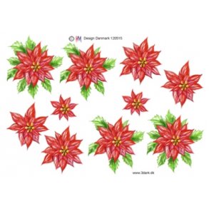 3D ark - Jul, blomst