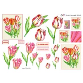 3D ark - Blomster, tulipan