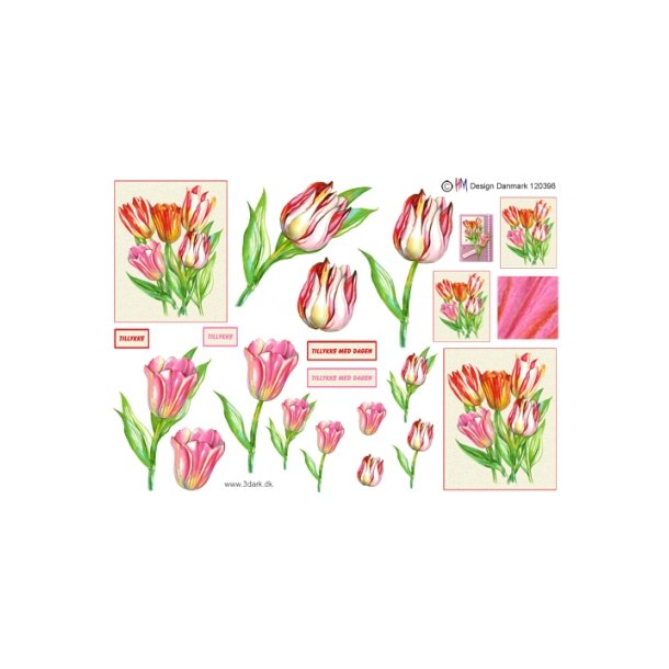 3D ark - Blomster, tulipan