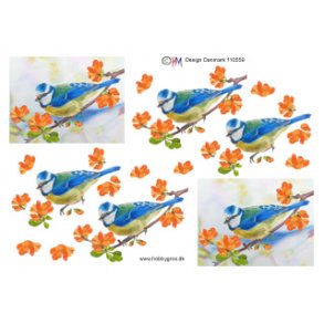 3D ark - Fugle, tegnet blmejse