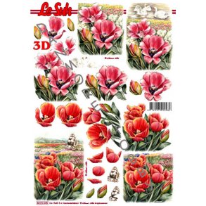 3D ark - Blomster, tulipan mark