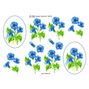 3D ark - Blomster, bl i oval