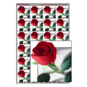 Foldepapir, blomst, rose