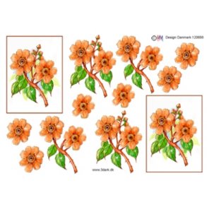 3D ark - Blomster, orange, rose