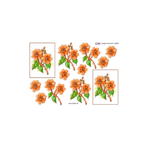3D ark - Blomster, orange, rose