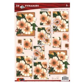 3D Pyramideark, orange blomster