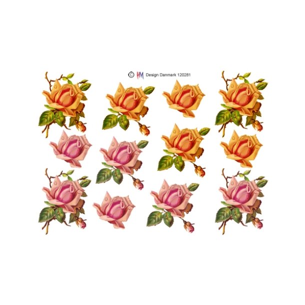 3D ark - Blomster, roser, orange, rosa