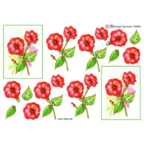 3D ark - Blomster, rd