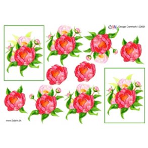 3D ark - Blomster, rd/lyserd pon