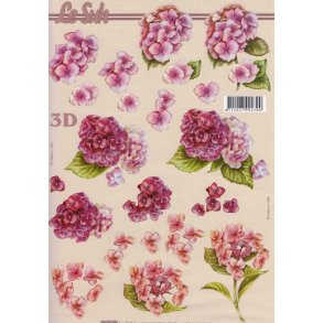 3D ark - Blomster, hortensia, rdlige farver