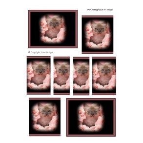 3D Pyramideark - Kat