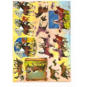 3D ark - Heste, 3 forskellige motiver