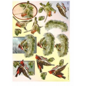 3D ark - Fugle, 3 forskellige motiver