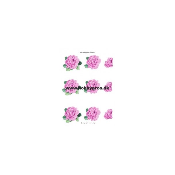 3D ark - Blomster, rose rosa