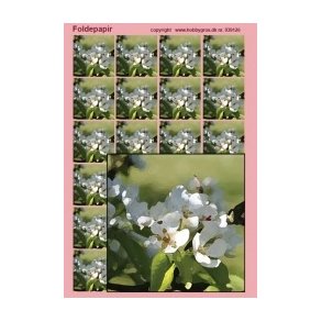 Foldepapir, blomster